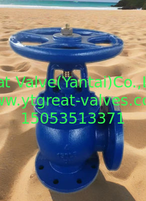 ANSI angle valve